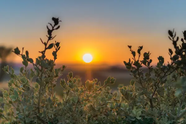 Estadias autênticas em destinos pouco explorados por quem busca tranquilidade e consciência