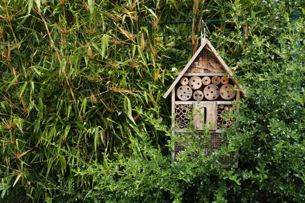 Descubra hospedagens em pequenas vilas onde a simplicidade é a chave para viajar melhor